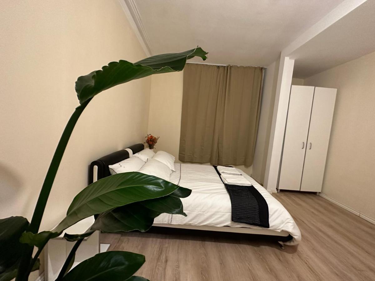 North London A Spacious 7 Bedroom House Accommodating Up To 18 People Complete With Own Gym And Table Tennis Zewnętrze zdjęcie